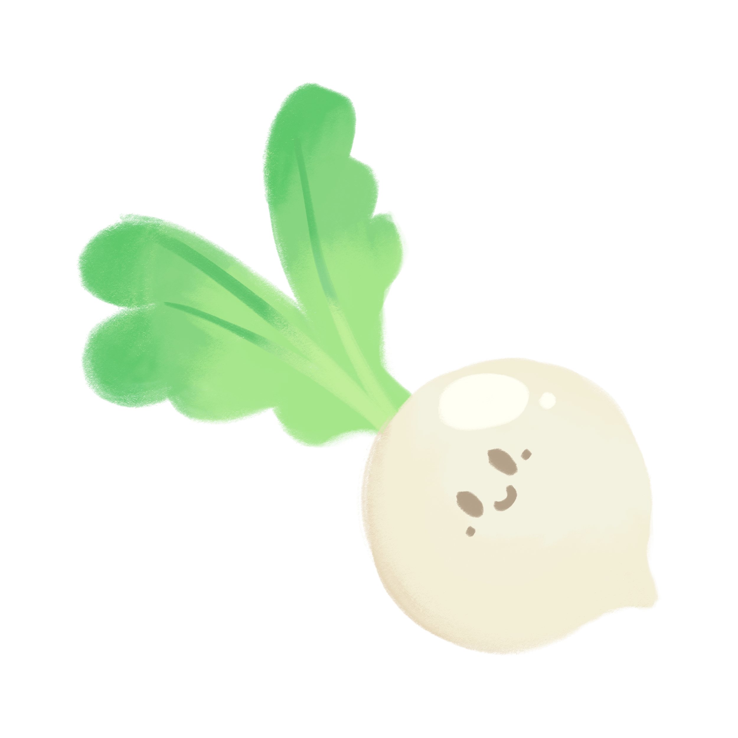 おまけ素材のかぶイラスト