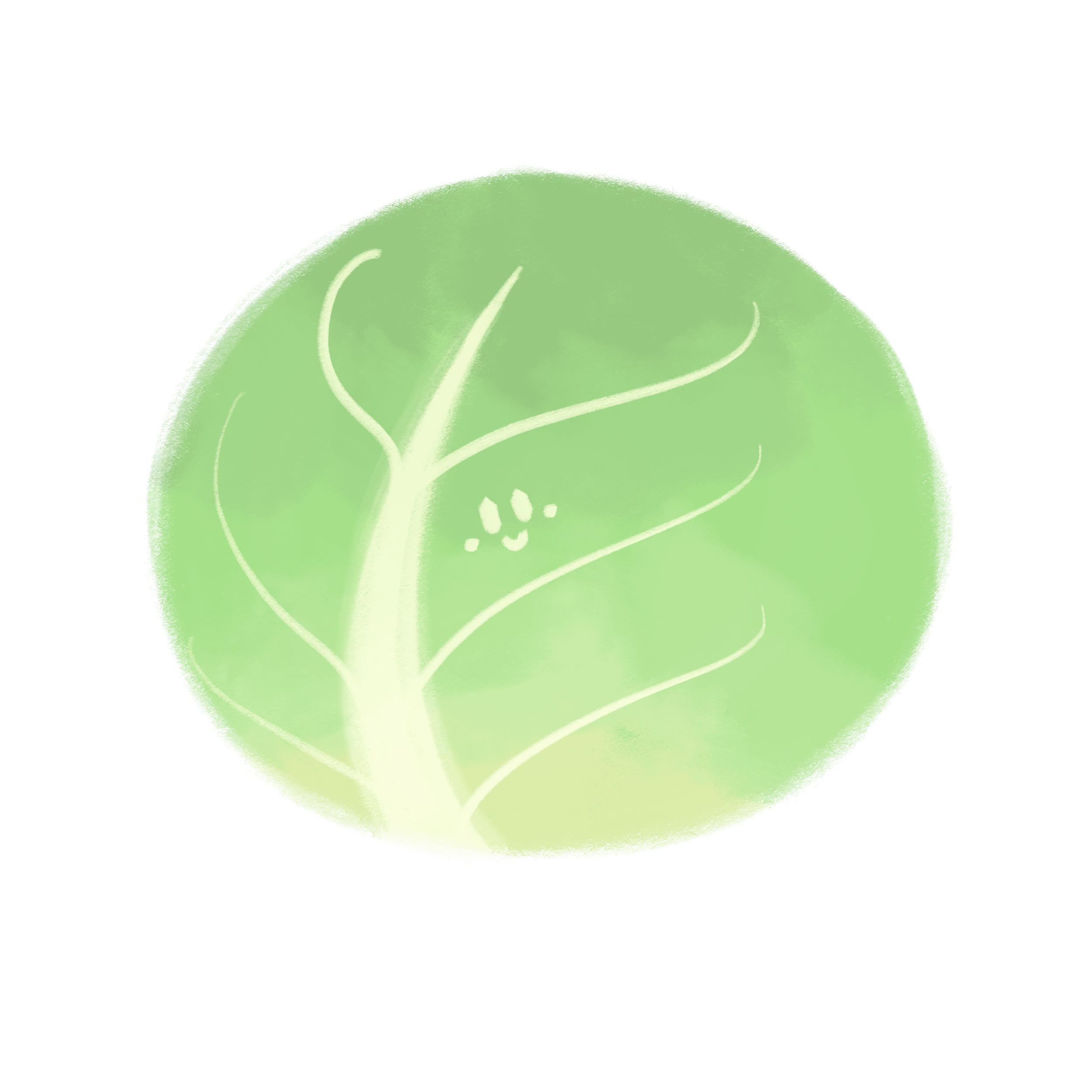 おまけ素材のきゃべつイラスト